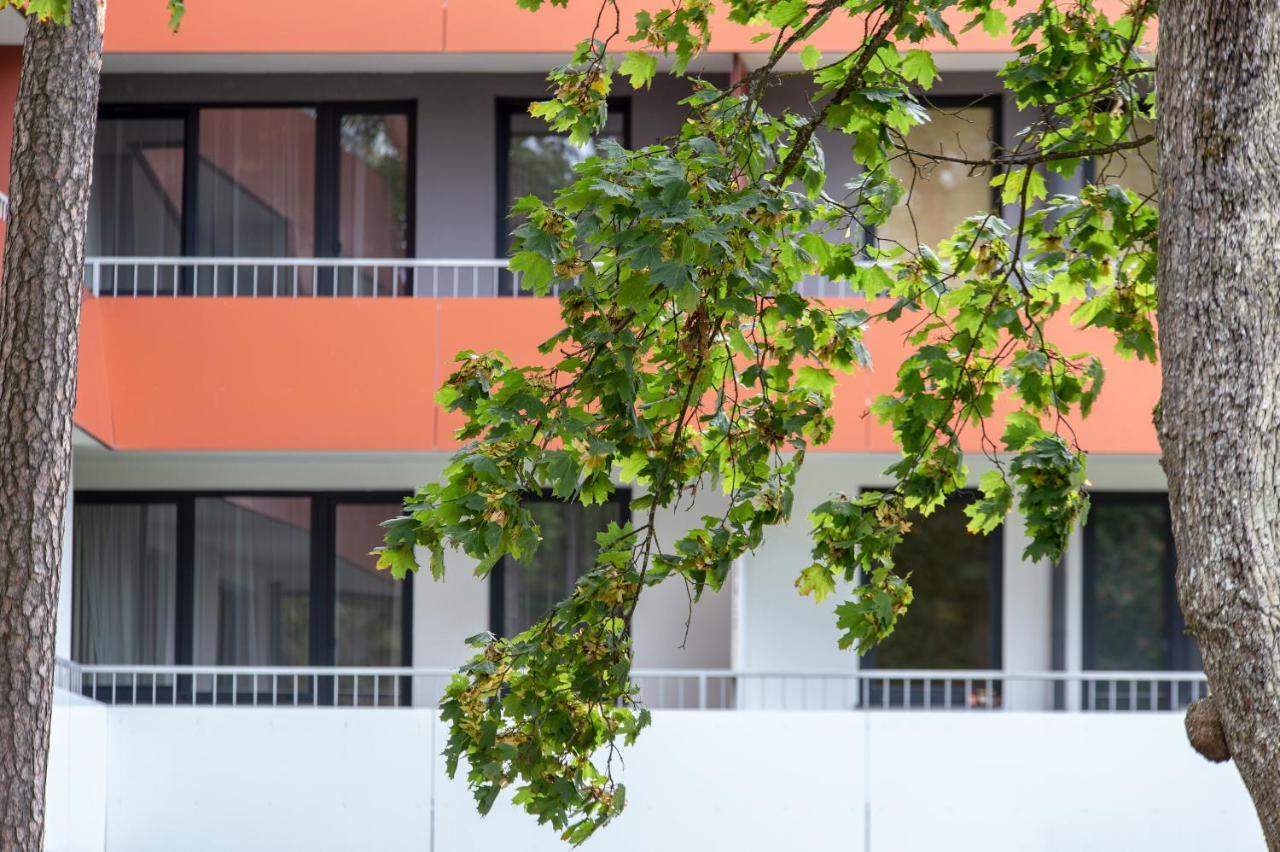 Violetos Lux Apartamentai2 德拉肯恩凯 外观 照片